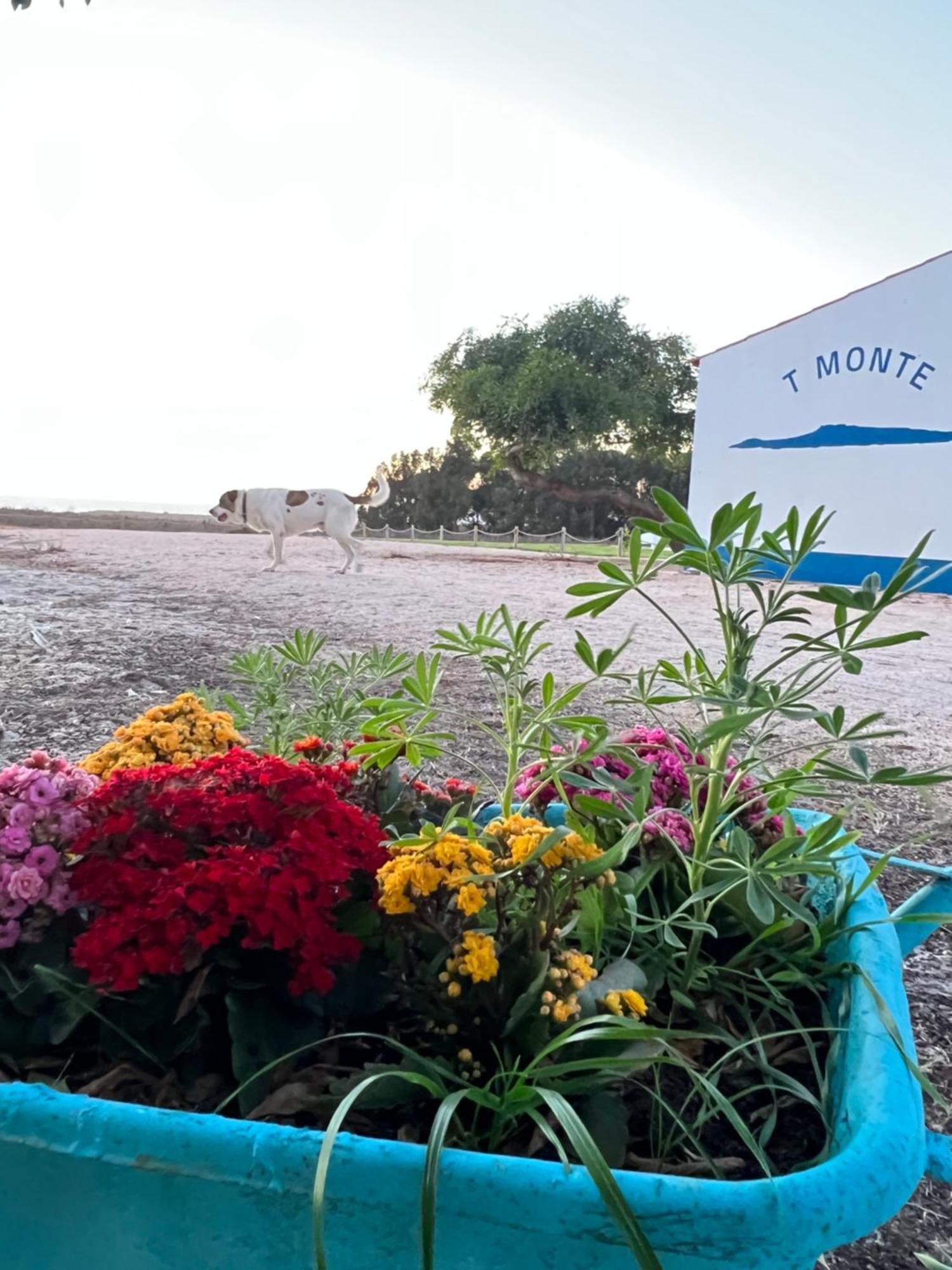 T Monte Villa Porto Covo Ngoại thất bức ảnh